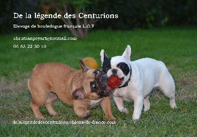 De La Légende Des Centurions